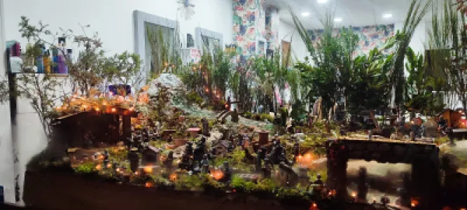 Laure Pastor peluquería/estetica